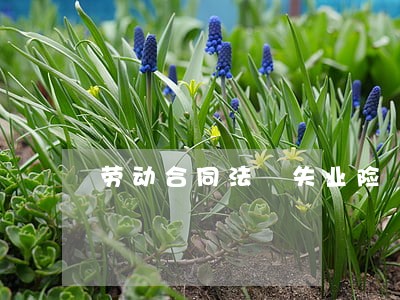 劳动合同法 失业险 劳动合同法 失业险
